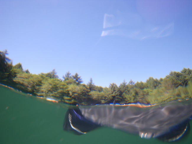 laketir.jpg laketir.jpg